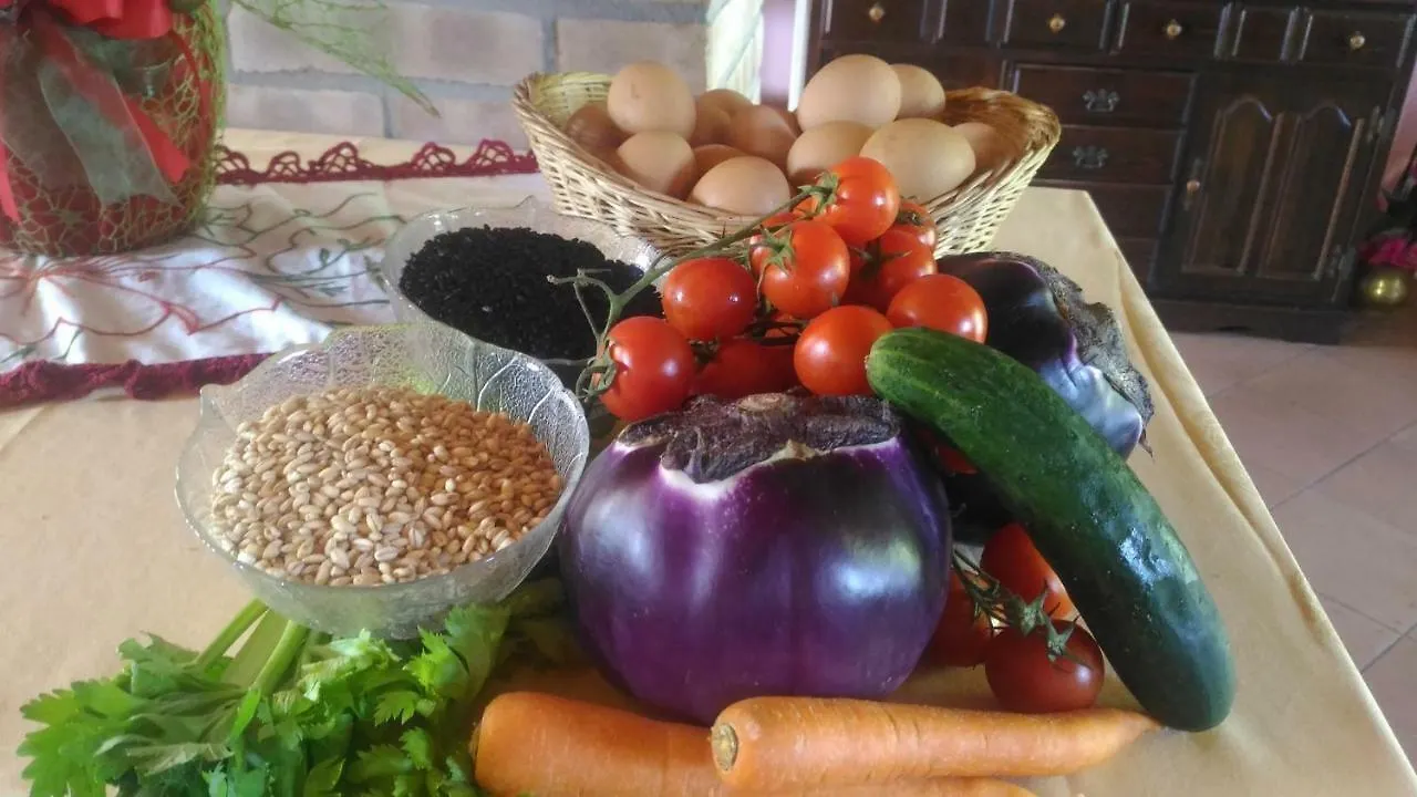 agriturismo AI COLORI Paese Italia